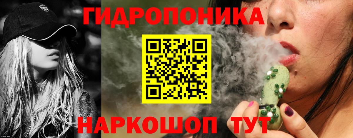 Котовск  Канабис тримм  МАРИХУАНА ГИДРОПОН  Канабис сатива  Каннабис Bruce Banner  Вход с VPN 